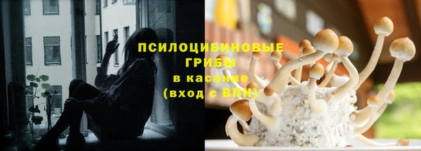 мескалин Алексин