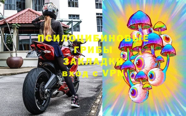 винт Алзамай