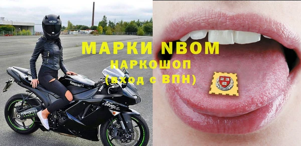 винт Алзамай