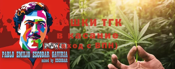 винт Алзамай