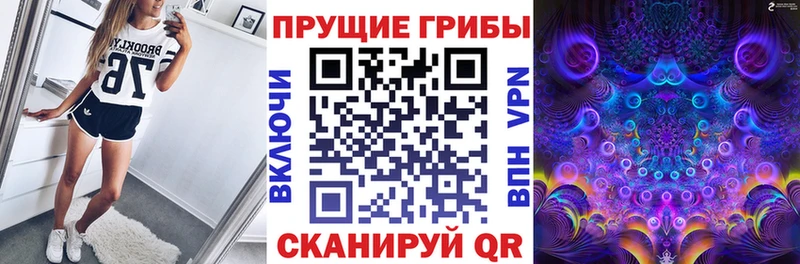 Псилоцибиновые грибы Cubensis  Пласт 